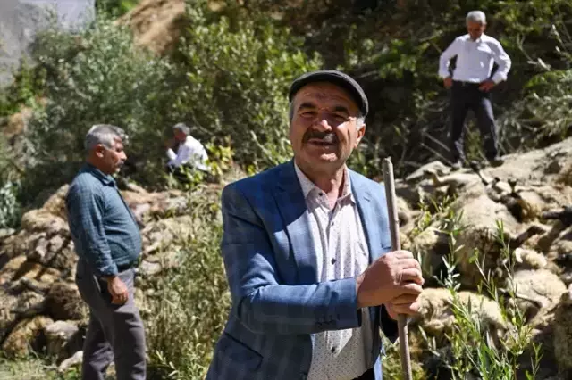 Biri atlayınca hepsi peşinden gitti, zarar çok büyük