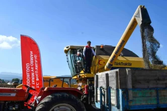 Boluda Yaglik Aycicegi Hasadi Basladi