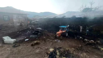 Burdurda Saman Yangini 4 Buyukbas Hayvan Telef Oldu