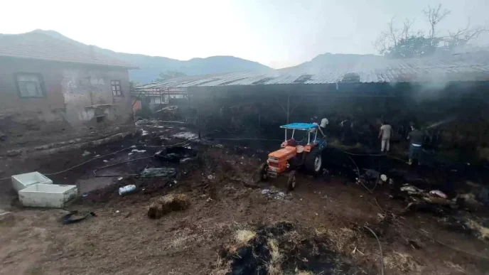 Burdurda Saman Yangini 4 Buyukbas Hayvan Telef Oldu