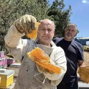 Bursada Kara Kovan Bal Uretimi Artiyor