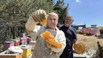 Bursada Kara Kovan Bal Uretimi Artiyor