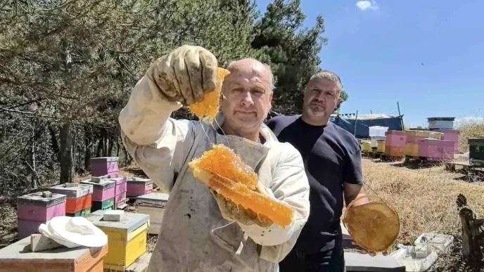 Bursada Kara Kovan Bal Uretimi Artiyor