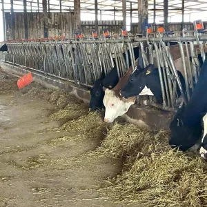 Bursali Sut Ureticilerinden Rekabet Kuruluna Destek