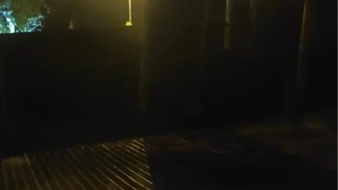 CAYKURda Yangin Uretim Devam Ediyor