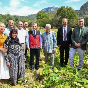 Camili Bal Kabagi Hasadi Yapildi
