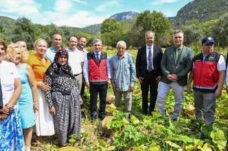 Camili Bal Kabagi Hasadi Yapildi