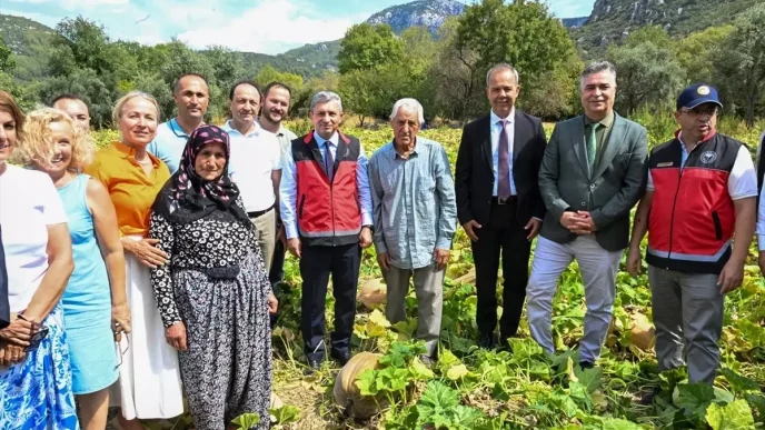 Camili Bal Kabagi Hasadi Yapildi