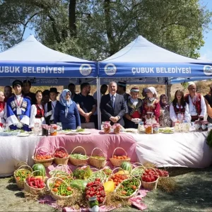 Cubuk Belediye Baskani Demirbastan Festival Elestirilerine Yanit