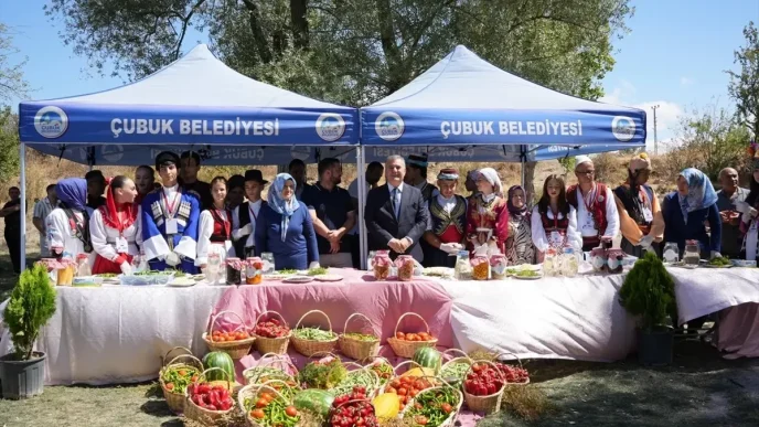 Cubuk Belediye Baskani Demirbastan Festival Elestirilerine Yanit