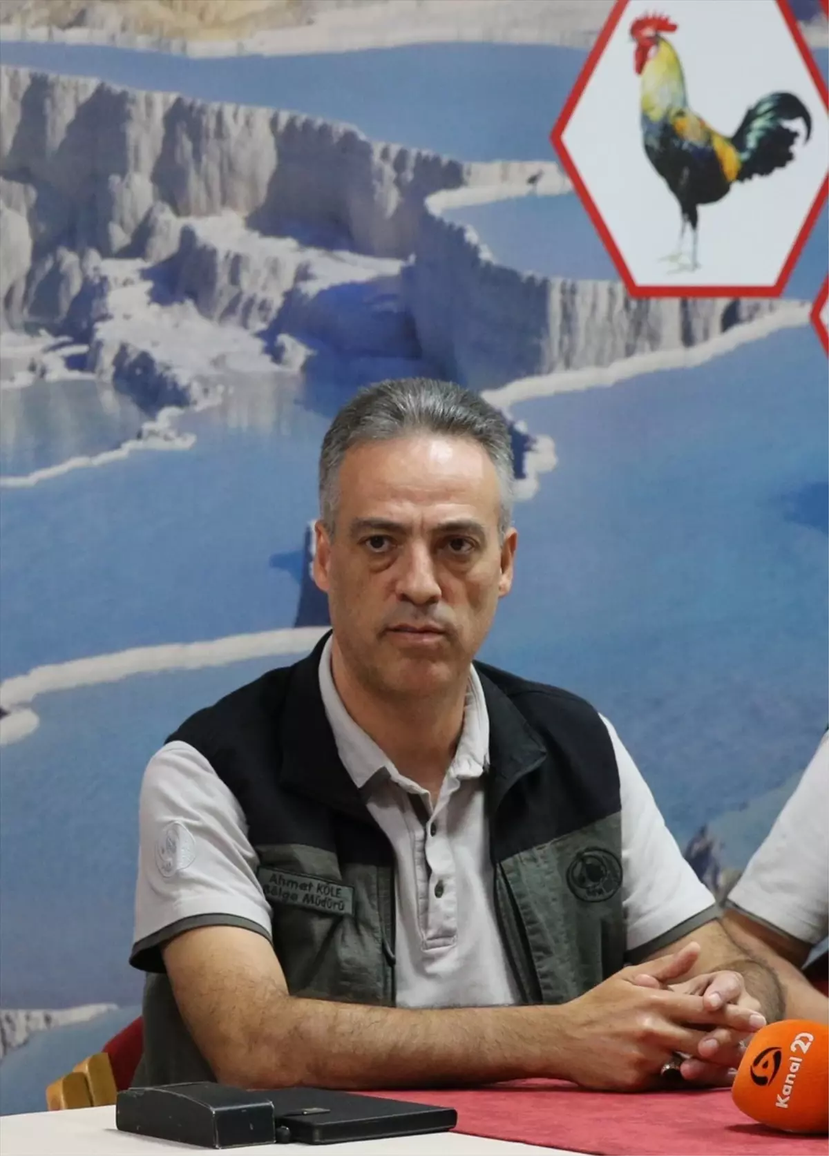 Denizlide Orman Yanginlarindan Zarar Goren Alanlara 25 Milyon Fidan Dikilecek