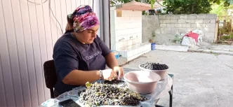Devrekte Aronya Meyvesi ile Dogal Meyve Suyu Uretimi Artiyor