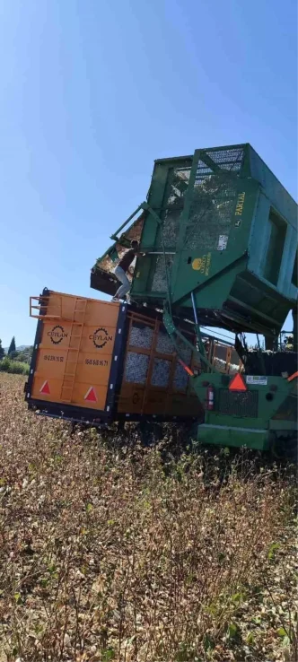 Didimde Pamuk Hasat Sezonu Denetimleri Basladi