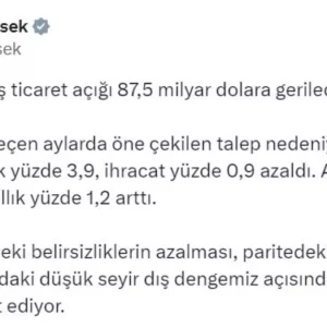 Dis Ticaret Acigi Agustosta 875 Milyar Dolara Dustu