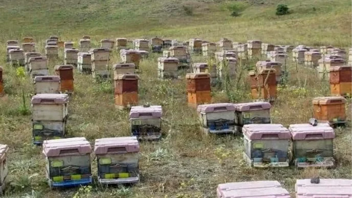 Dogu Karadenizde Aricilik Tehlikede Iklimsel ve Cevresel Sorunlar