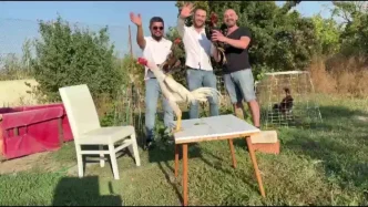 Dugunde Damada 250 Bin TL Degerinde Hint Horozu Hediye Edildi