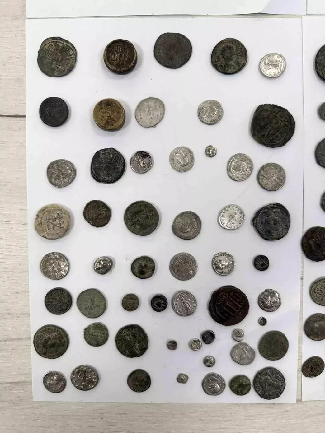 Edirneden Bulgaristana Kacak Antika Sikke Operasyonu