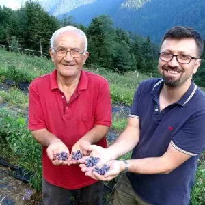 Emekli Ogretmen Yaban Mersini Yetistirerek Bolgeye Ornek Oluyor