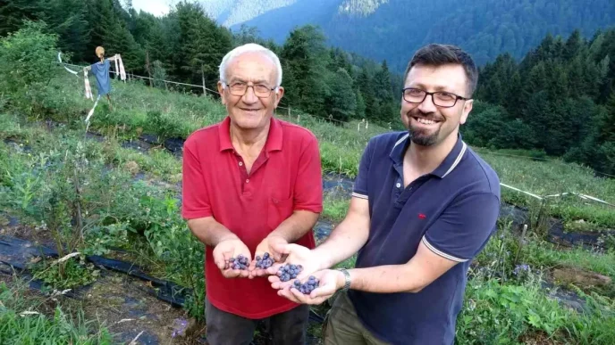 Emekli Ogretmen Yaban Mersini Yetistirerek Bolgeye Ornek Oluyor