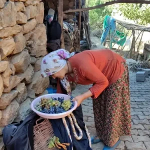 Erzincan Koyluleri Kis Icin Meyve Kurutuyor