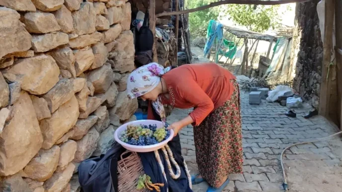 Erzincan Koyluleri Kis Icin Meyve Kurutuyor