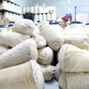 Erzincan Tulum Peynirinin Geleneksel Uretim Sureci
