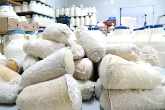 Erzincan Tulum Peynirinin Geleneksel Uretim Sureci