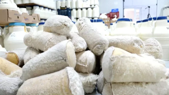 Erzincan Tulum Peynirinin Geleneksel Uretim Sureci
