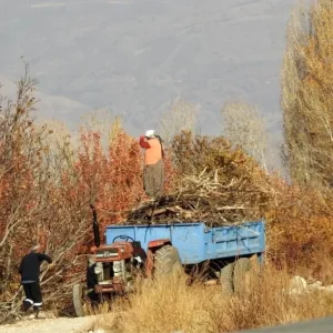 Erzincanda Kis Hazirliklari Basladi Haberler