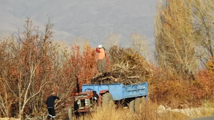 Erzincanda Kis Hazirliklari Basladi Haberler