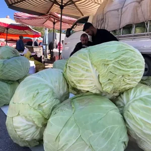 Erzincanda Kisin Vazgecilmezi Lahana Tezgahlarda