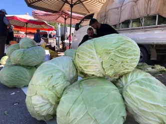 Erzincanda Kisin Vazgecilmezi Lahana Tezgahlarda
