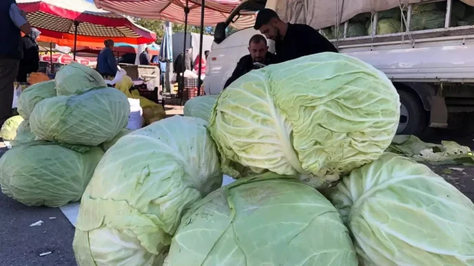 Erzincanda Kisin Vazgecilmezi Lahana Tezgahlarda