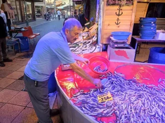 Eskisehir Balik Pazarinda Yeni Sezon Coskusu Hamsi Fiyatlari Yuksek Kalacak