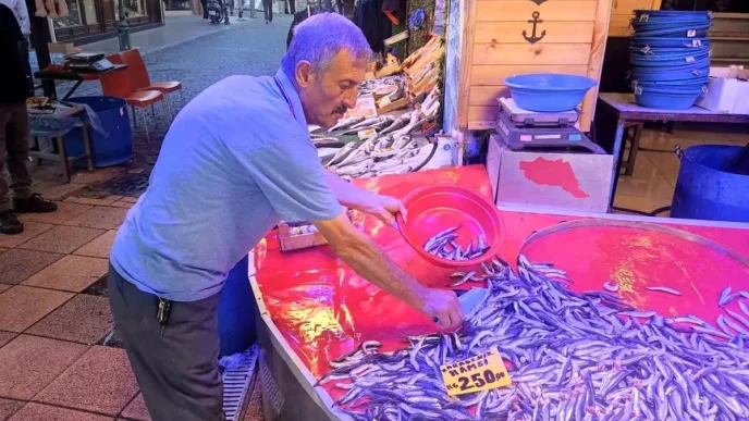 Eskisehir Balik Pazarinda Yeni Sezon Coskusu Hamsi Fiyatlari Yuksek Kalacak