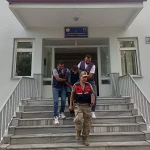Findik Hirsizligi Zanlisi Tutuklandi Haberler
