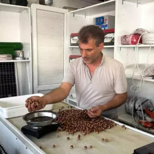 Findik Rekoltesindeki Dusus Fiyatlari Yukseltti