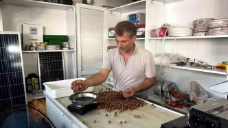 Findik Rekoltesindeki Dusus Fiyatlari Yukseltti