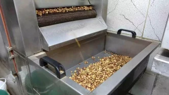 Findik Ureticileri Kuraklik ve Zararlilarla Mucadele Ediyor