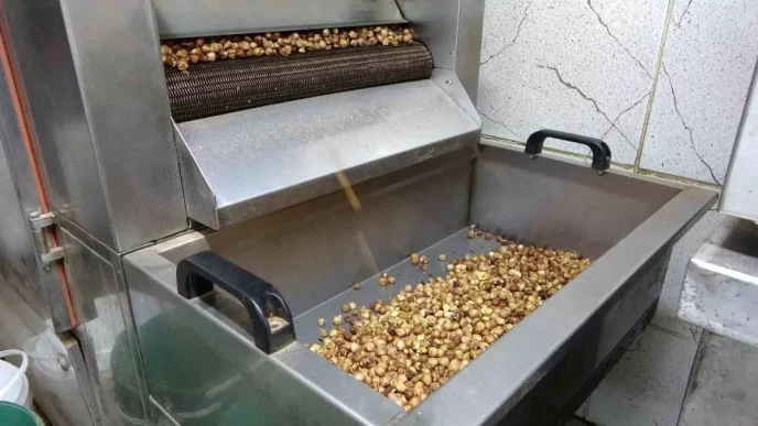 Findik Ureticileri Kuraklik ve Zararlilarla Mucadele Ediyor