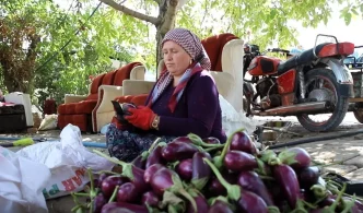 Gaziantepte Kis Hazirliklari Kurutmalik Sebze Sezonu Devam Ediyor