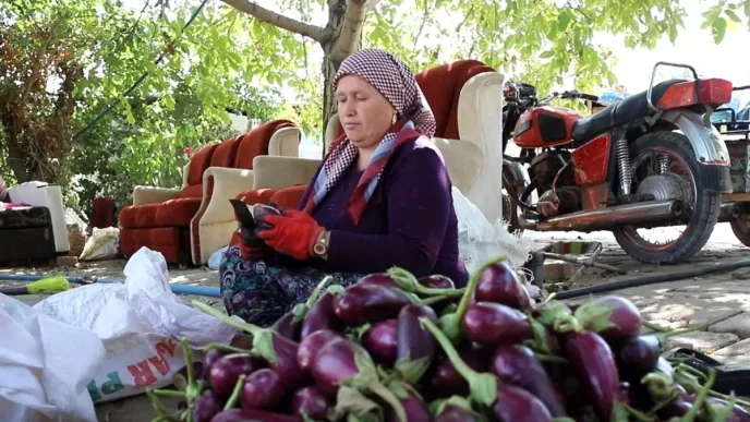 Gaziantepte Kis Hazirliklari Kurutmalik Sebze Sezonu Devam Ediyor
