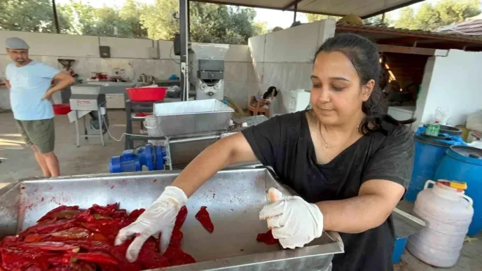 Genc Kadin Girisimci Issizlik Sorununu Degirmen Dukkaniyla Asti