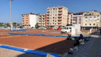 Giresunda Ureticiler Findigini Pazar Alaninda Kurutuyor