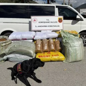 Gumushanede 530 Kilo Kacak Tutun Ele Gecirildi