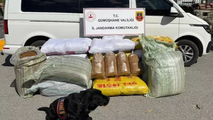 Gumushanede 530 Kilo Kacak Tutun Ele Gecirildi