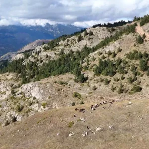 Gumushanede genc muhtarin Turkiyeye ilham veren basari hikayesi