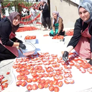 Hatayda Afetzede Kadinlar Domates Kuru Ile Ekonomiye Katki Sagliyor