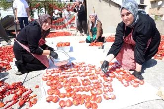 Hatayda Afetzede Kadinlar Domates Kuru Ile Ekonomiye Katki Sagliyor