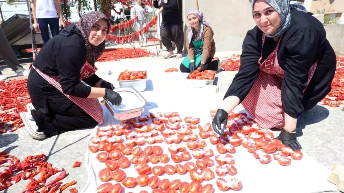 Hatayda Afetzede Kadinlar Domates Kuru Ile Ekonomiye Katki Sagliyor